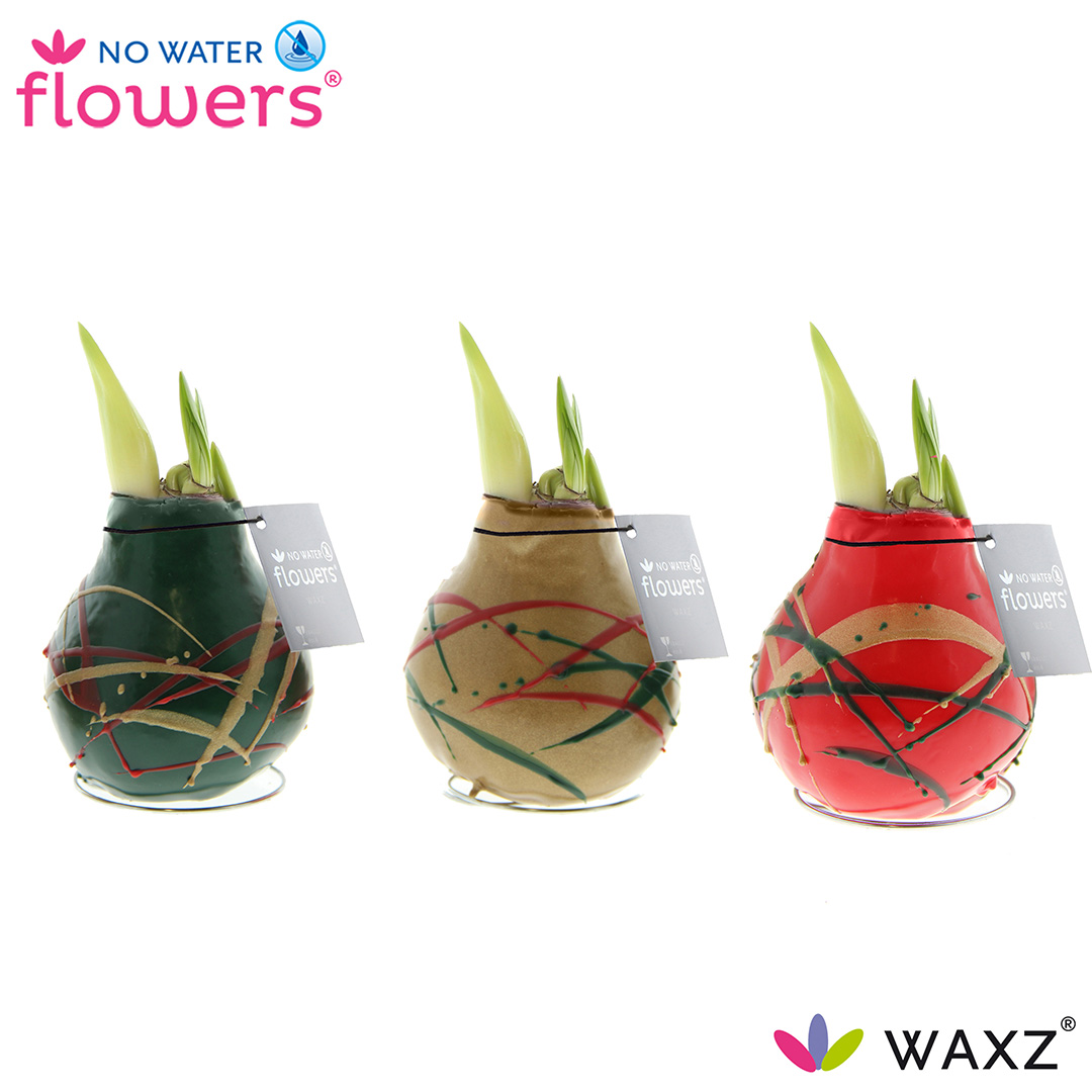 Picture of No Water Flowers Waxz® Art Munch 15CM