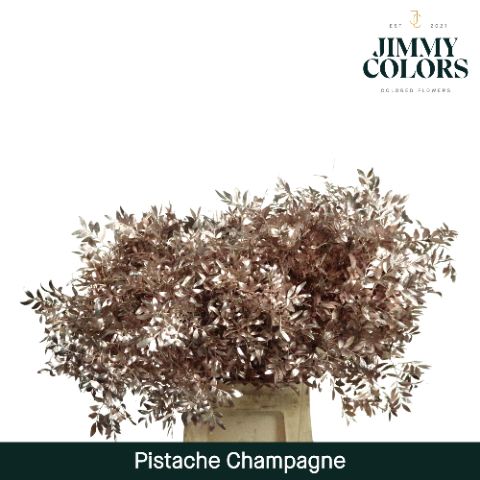 Pistache L50 Metallic Champagne