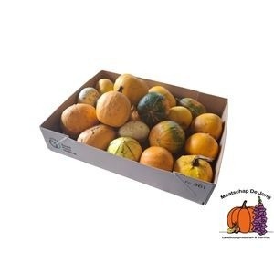 Cucurbita Pepo Mixed