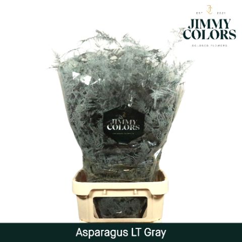 Aspa Lang Getopt Grey