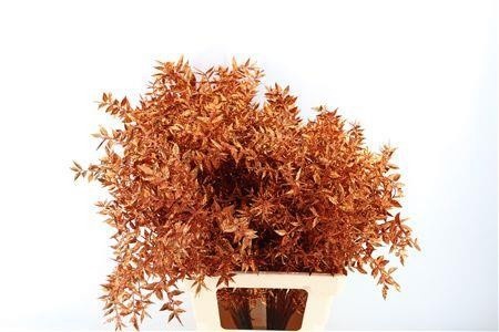 Dried/preserved Flowers Misc 60cm 18gram