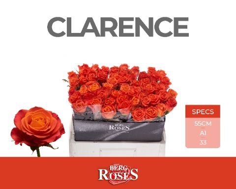 R Gr Clarence+