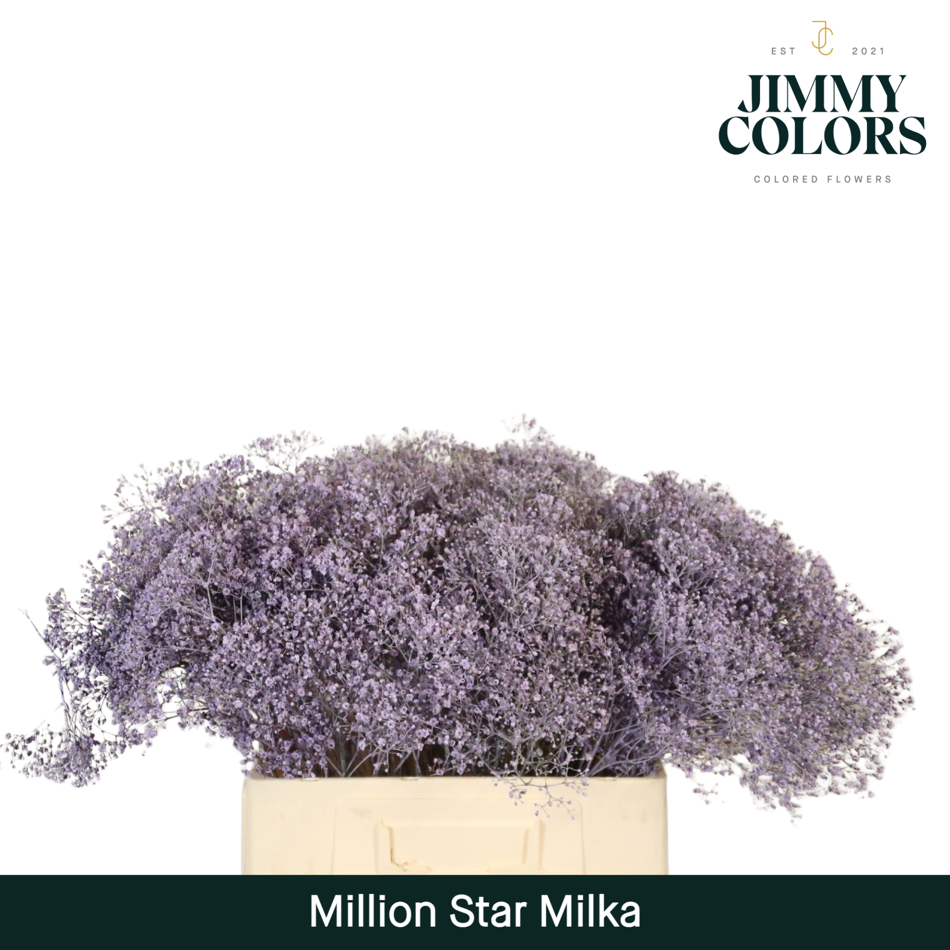 Gyps Million Star L60 Milka