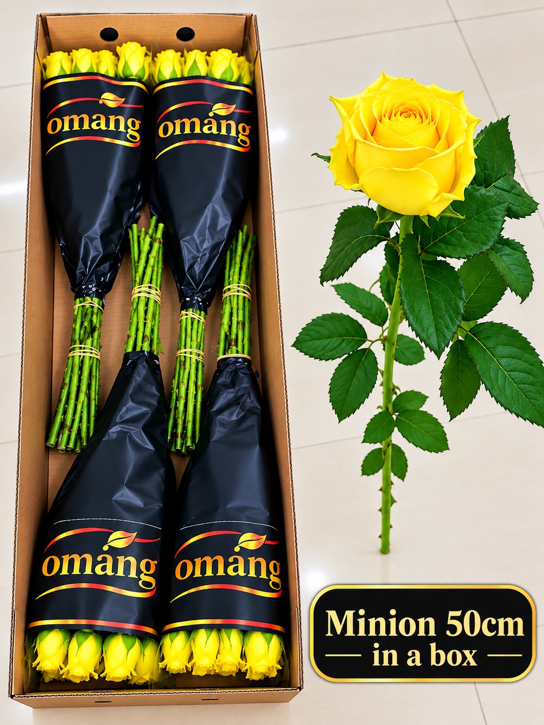 Rosa Minion Rose 50cm