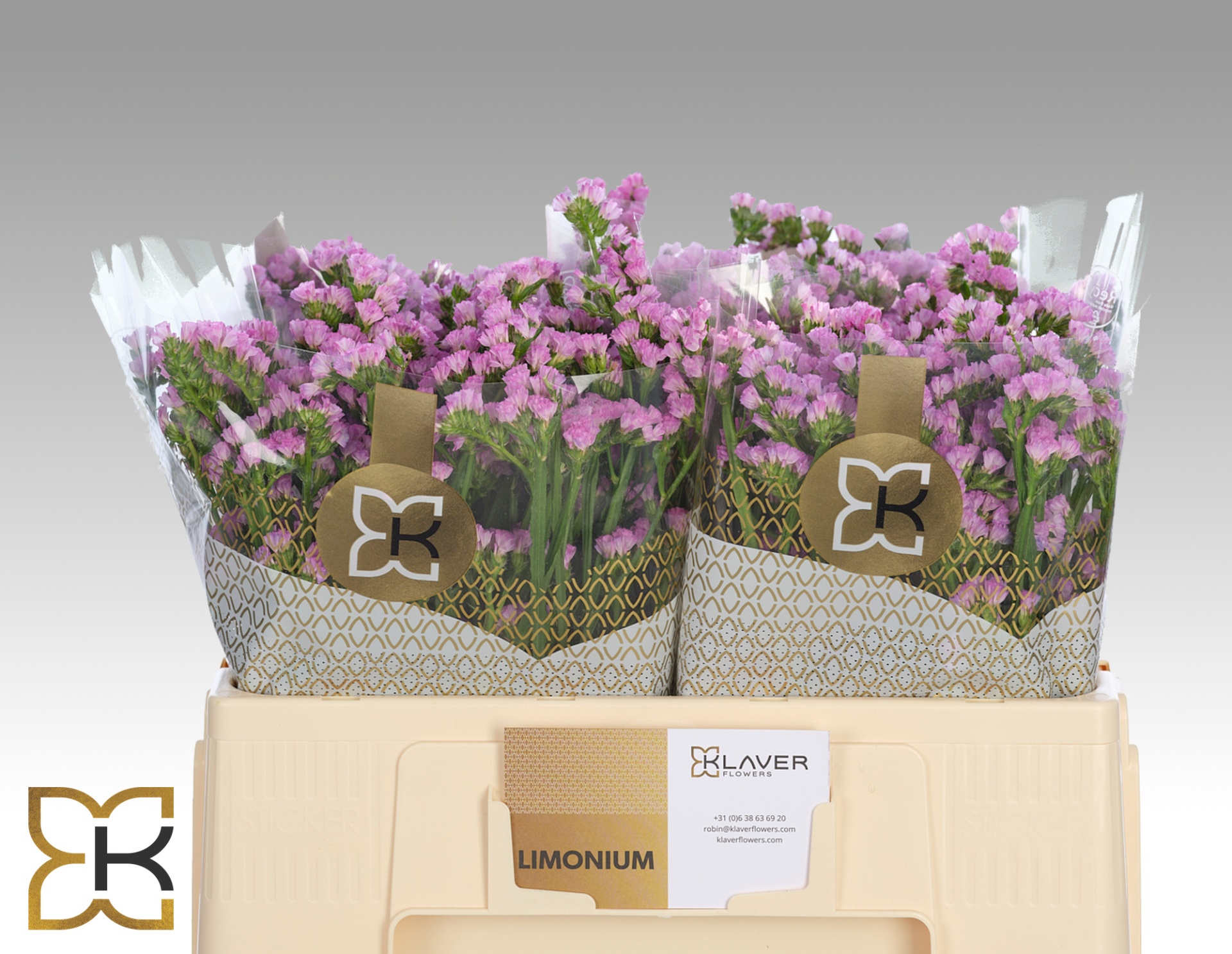 Limonium St Fantasia Wings 50cm 10gram