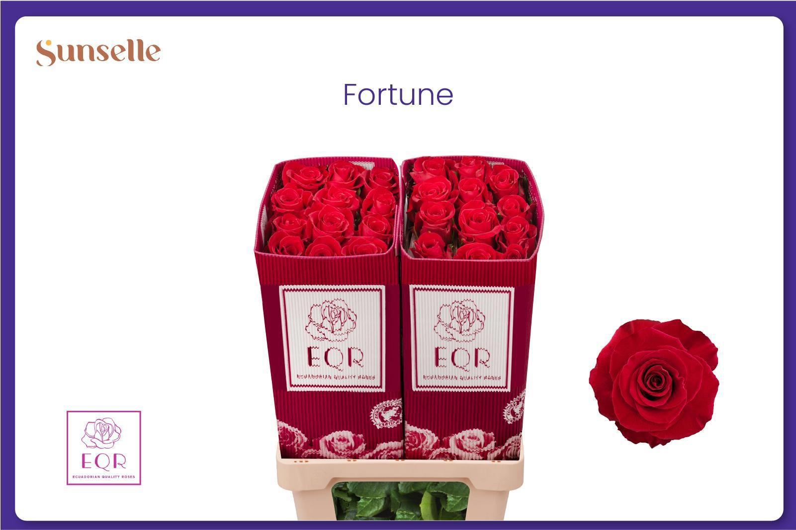 R Gr Fortune