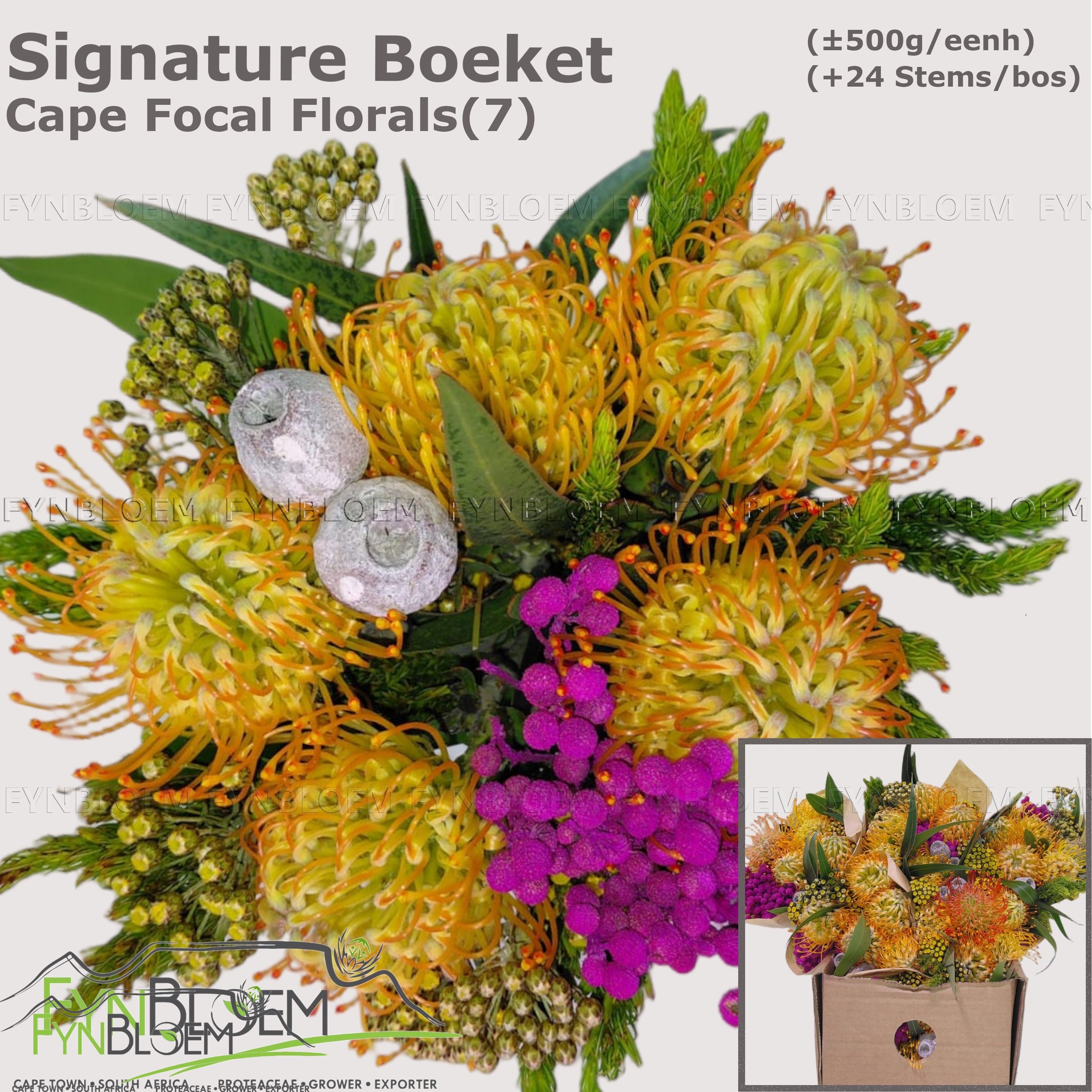 Protea Bouquet Per Bunch 30cm