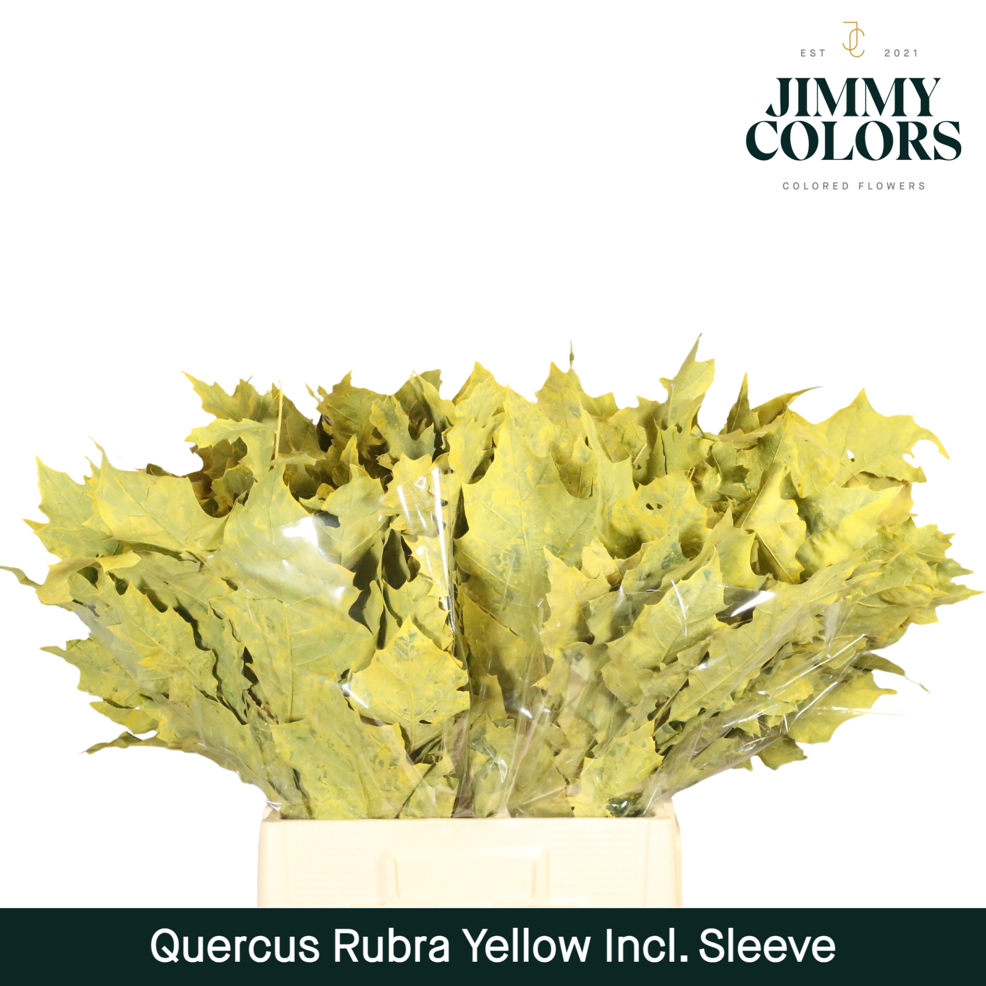 Quercus Rubra Sleeve L60 Geel
