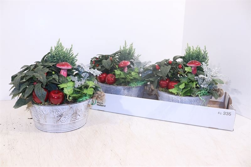 Arr Tuinplanten 22P 28cm