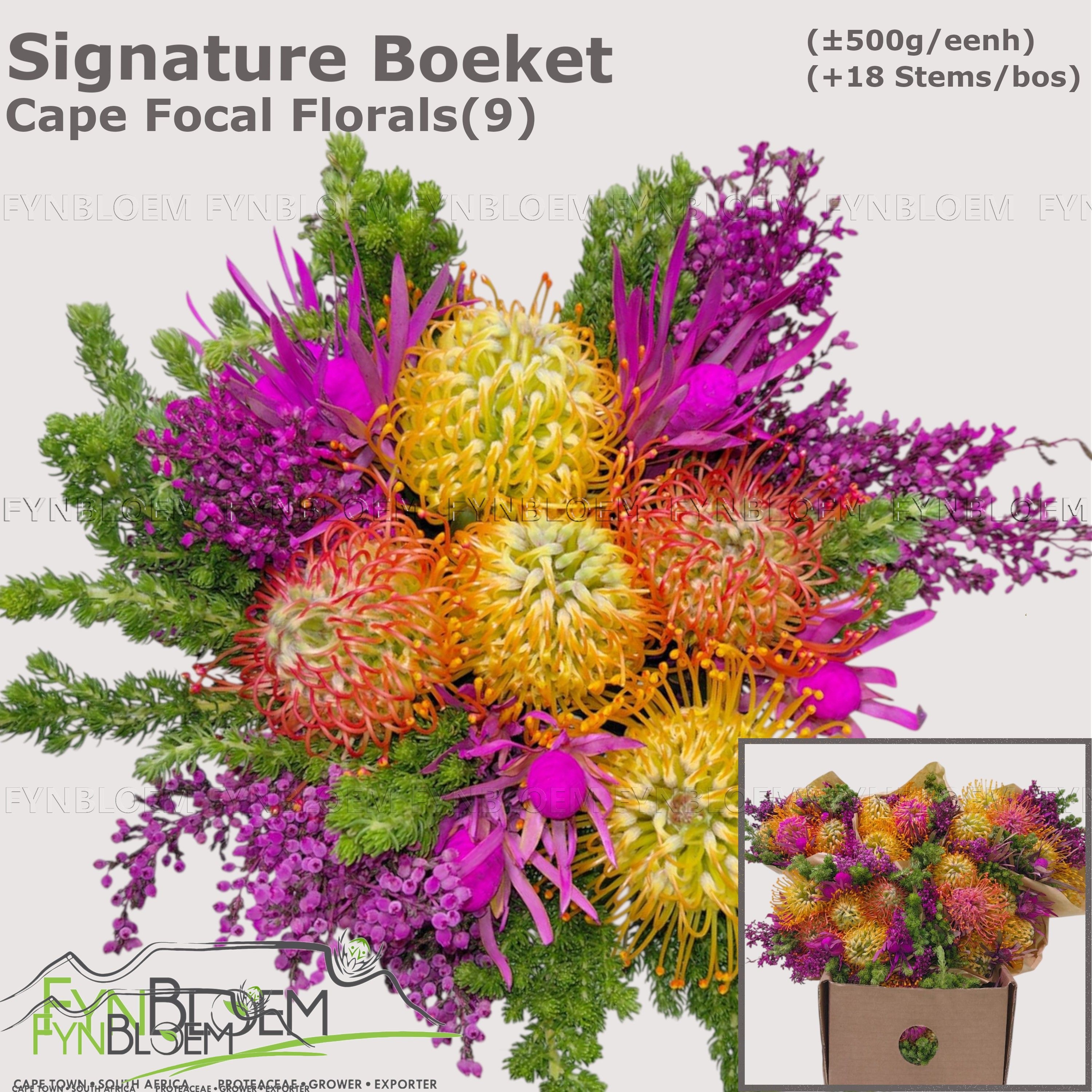 Protea Bouquet Per Bunch 40cm