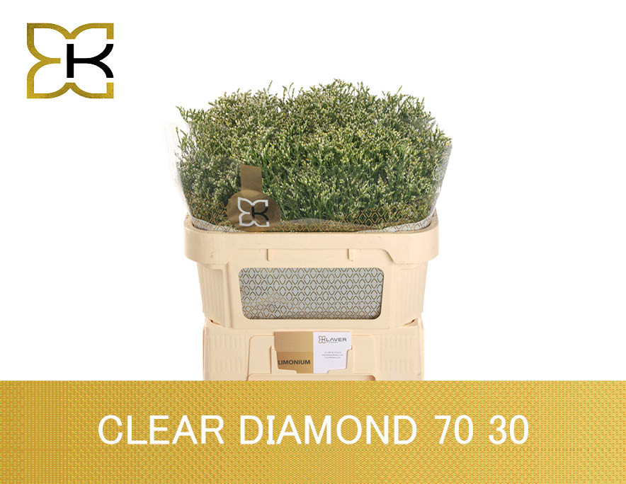 Lim Sin Clear Diamon