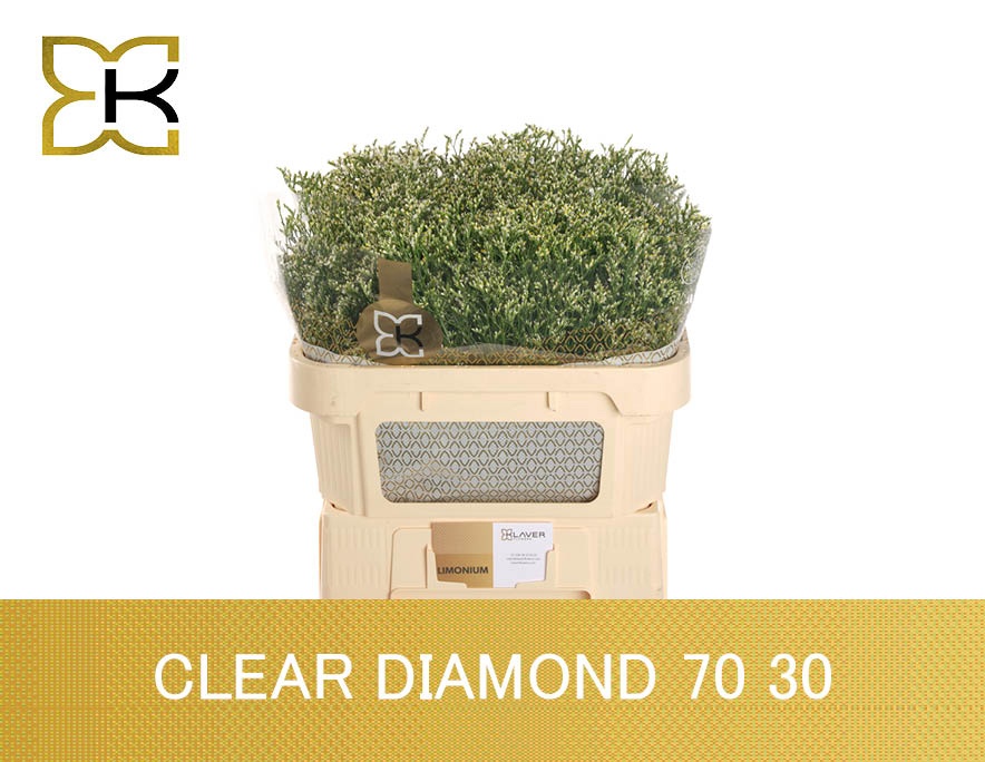 Lim Sin Clear Diamon