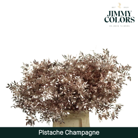 Pistache L50 Metallic Champagne + Glitter