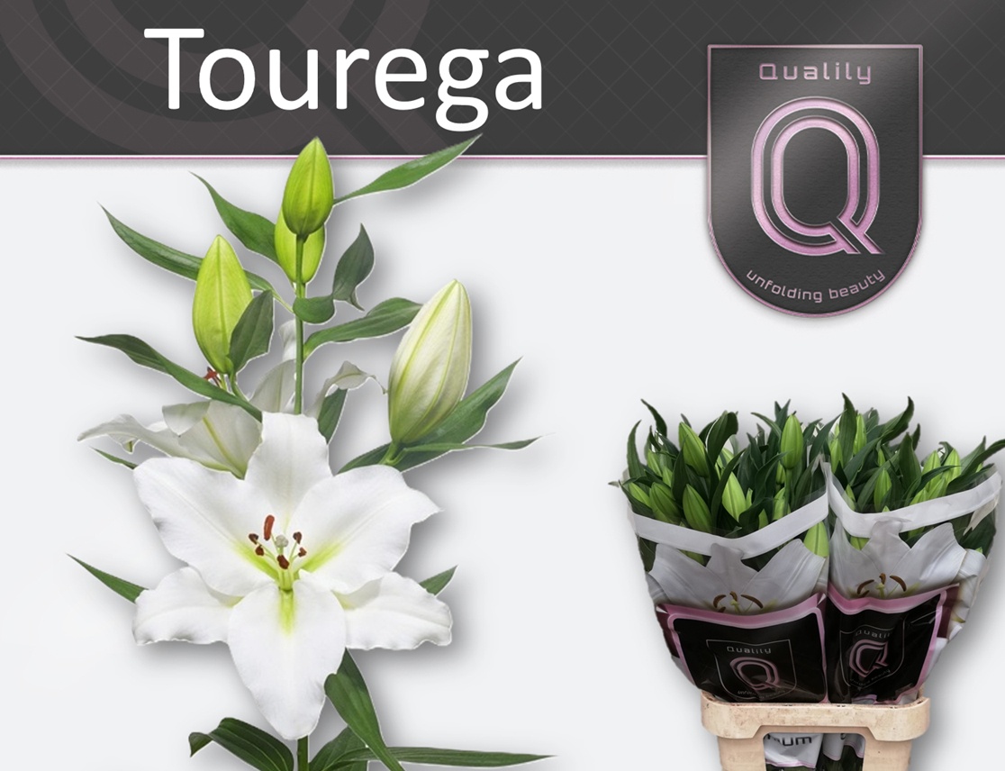Li Or Tourega