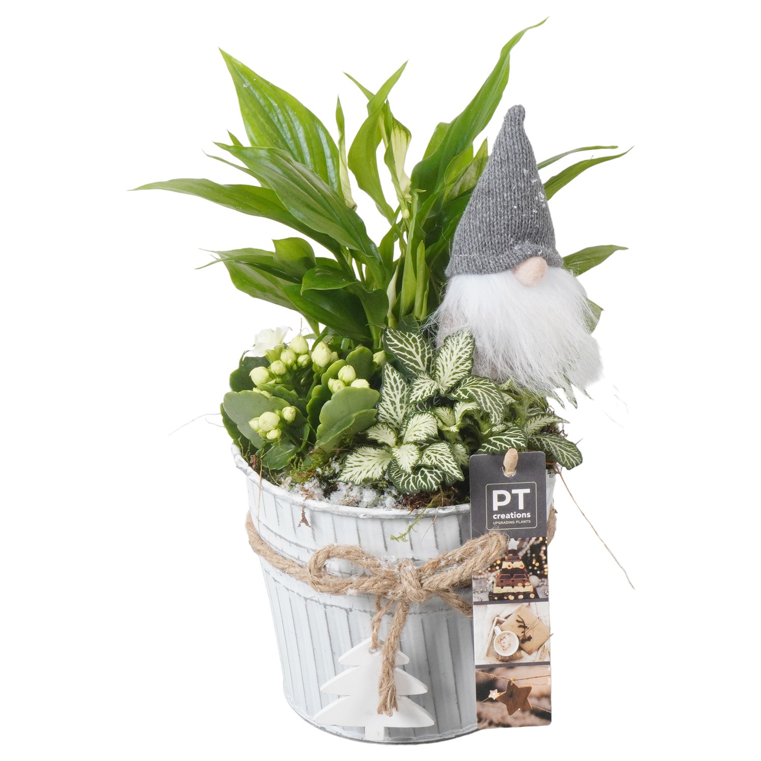 Picture of PTKB9434 Arrangement X-Mas in zinc pot P14 31CM