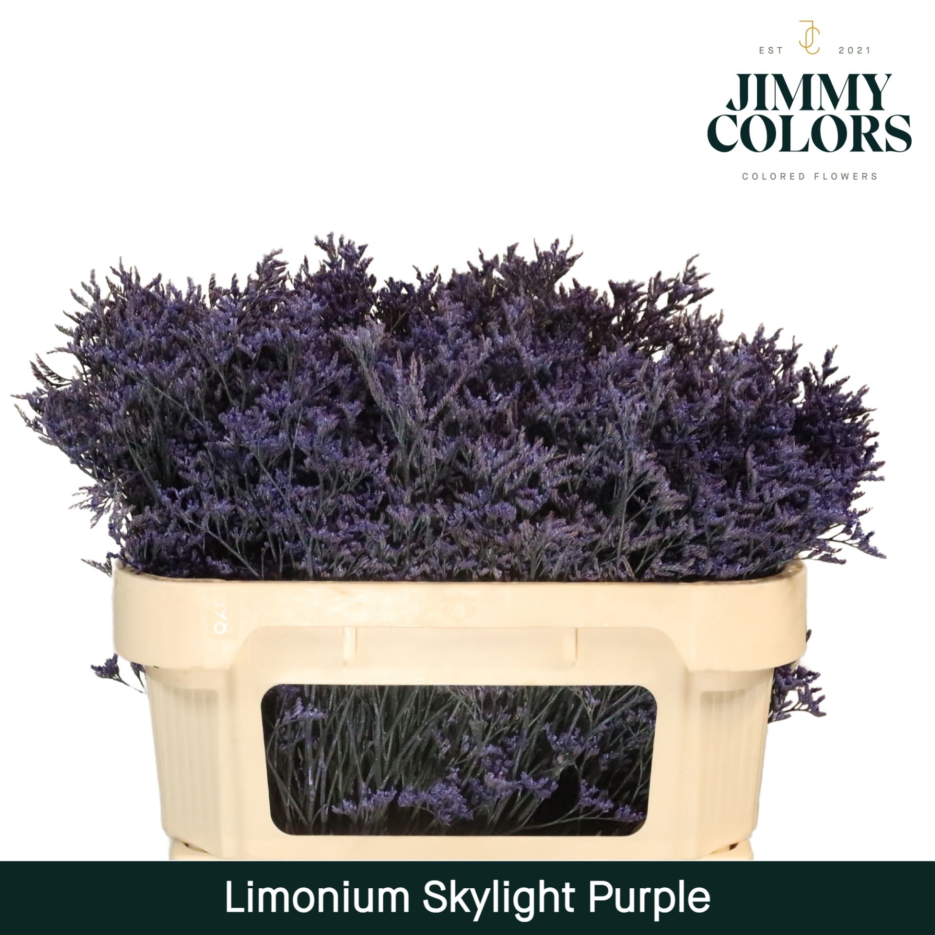 Lim Skylight L70 Purple