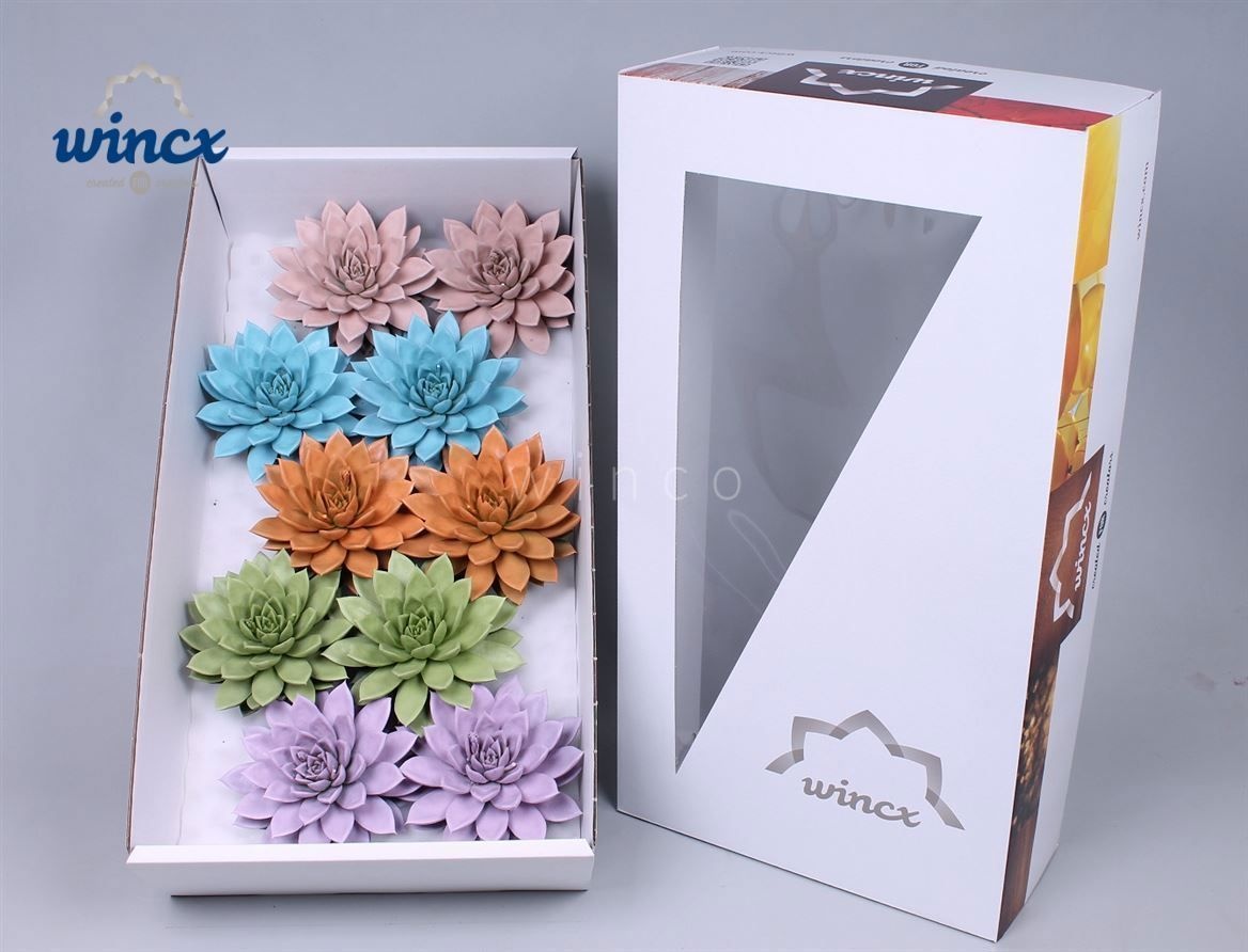 Echeveria Paint Pastel Mix (wincx) Cutfl