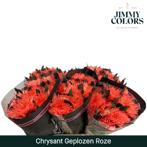Chr G Topspin Pink
