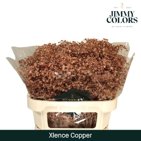 Gyps Xlence L70 Mtlc. Copper
