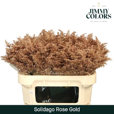 Solidago L70 Metallic Rose Gold