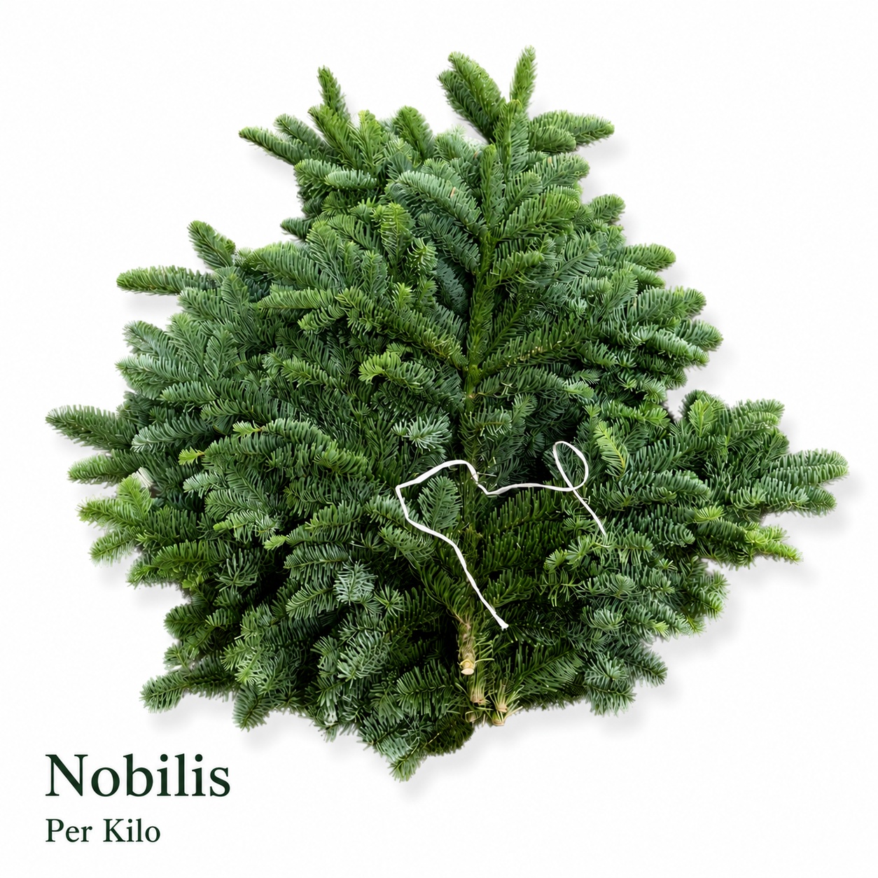 Abies Nob Blauw Kilo 988gram