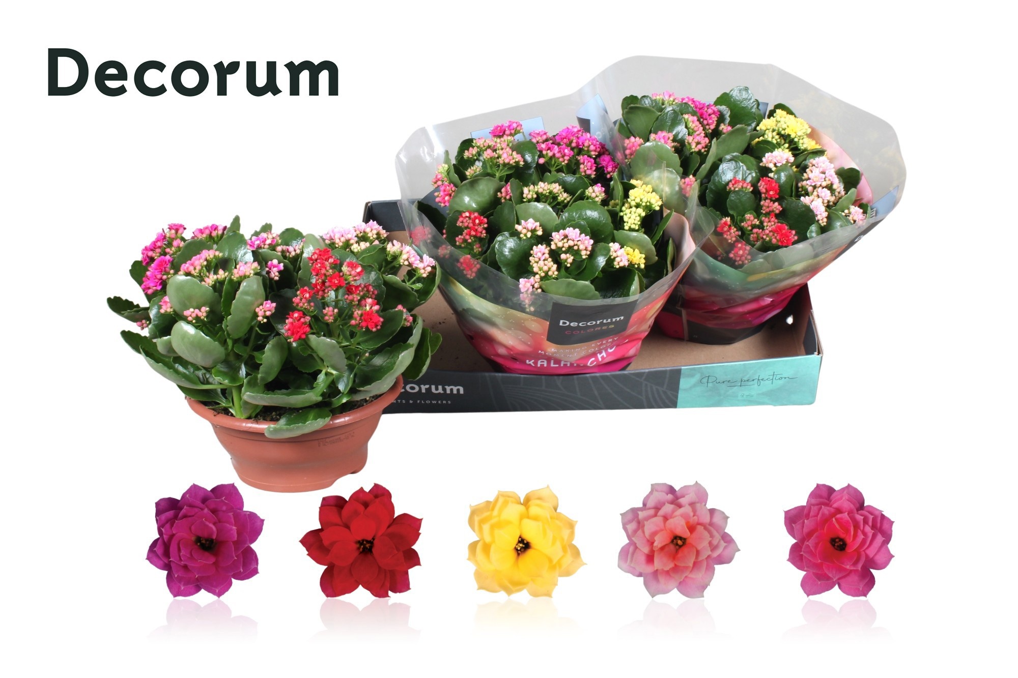 Kalan B Ge Gem I Pot 23Ø 28cm