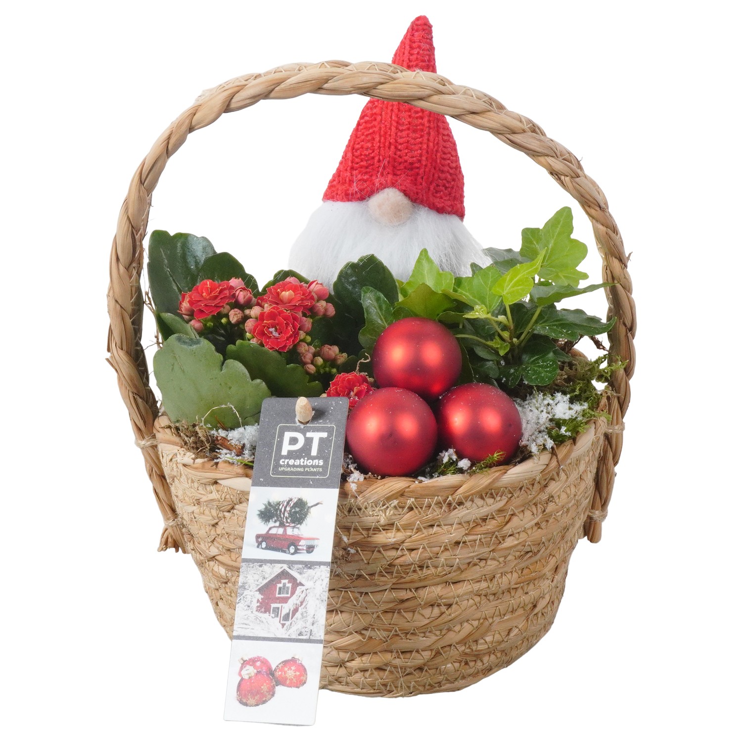 Picture of PTKB9329 Arrangement X-Mas in grass basket P15 23cm