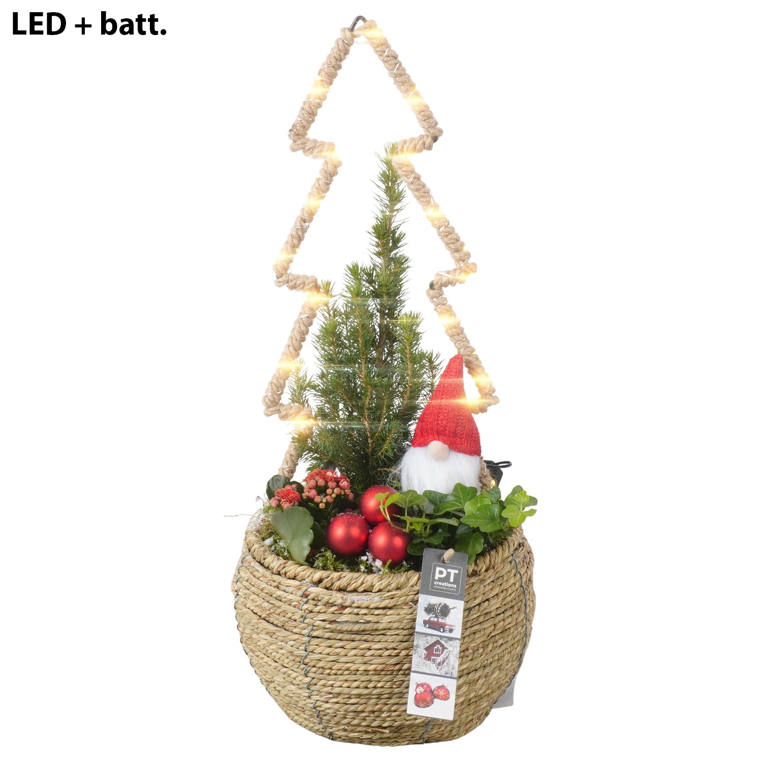 Picture of PTKB9351 Arrangement X-Mas in grass basket P20 51CM