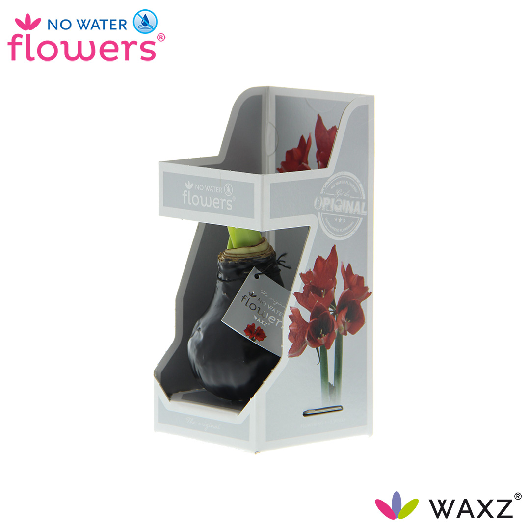 Picture of No Water Flowers Waxz® Black in Gift Box 15CM