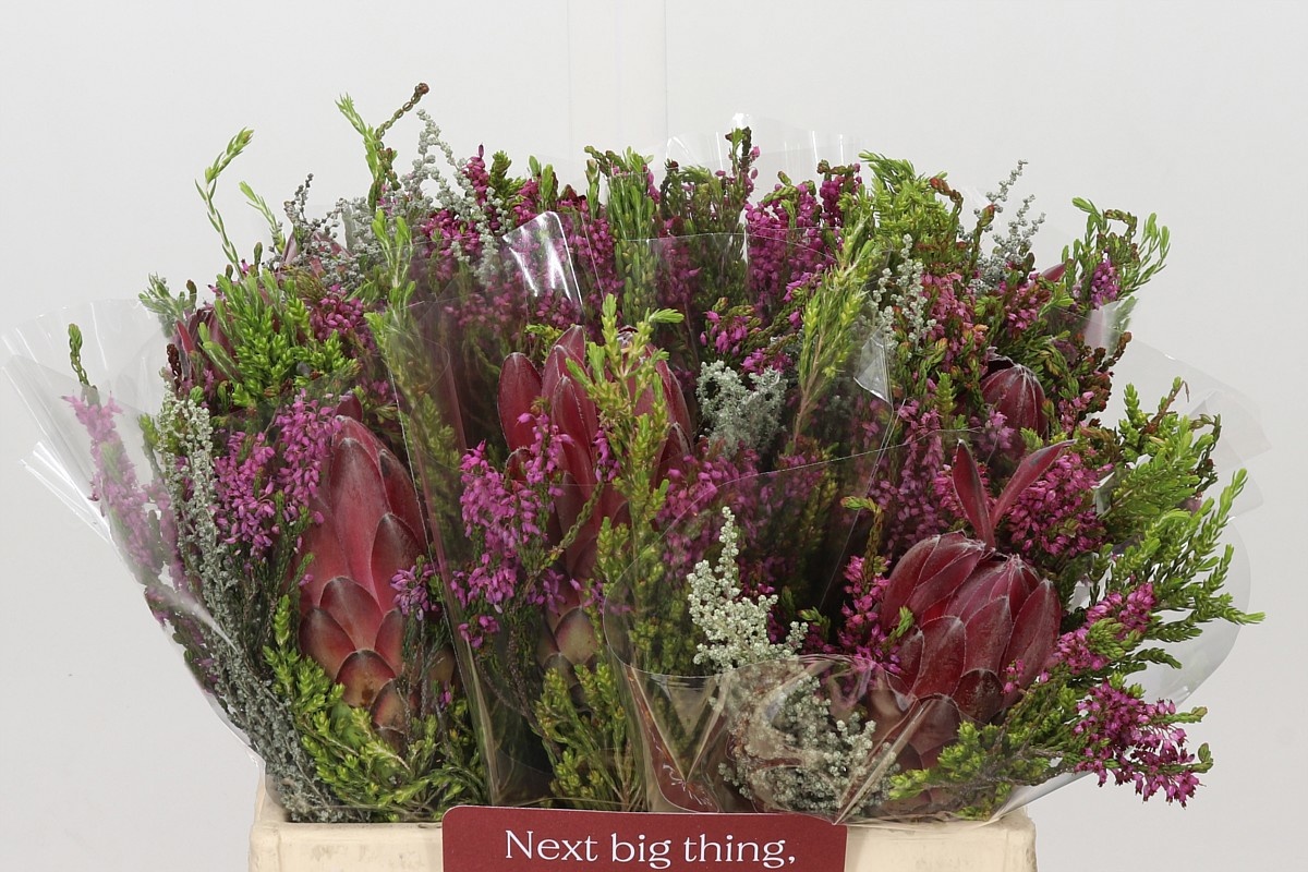 Protea Bouquet Per Bunch 40cm