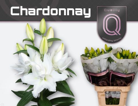 Li Or Du Chardonnay