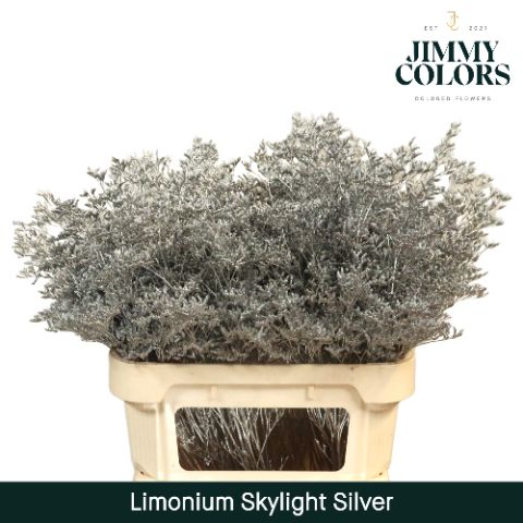 Lim Skylight L70 Silver