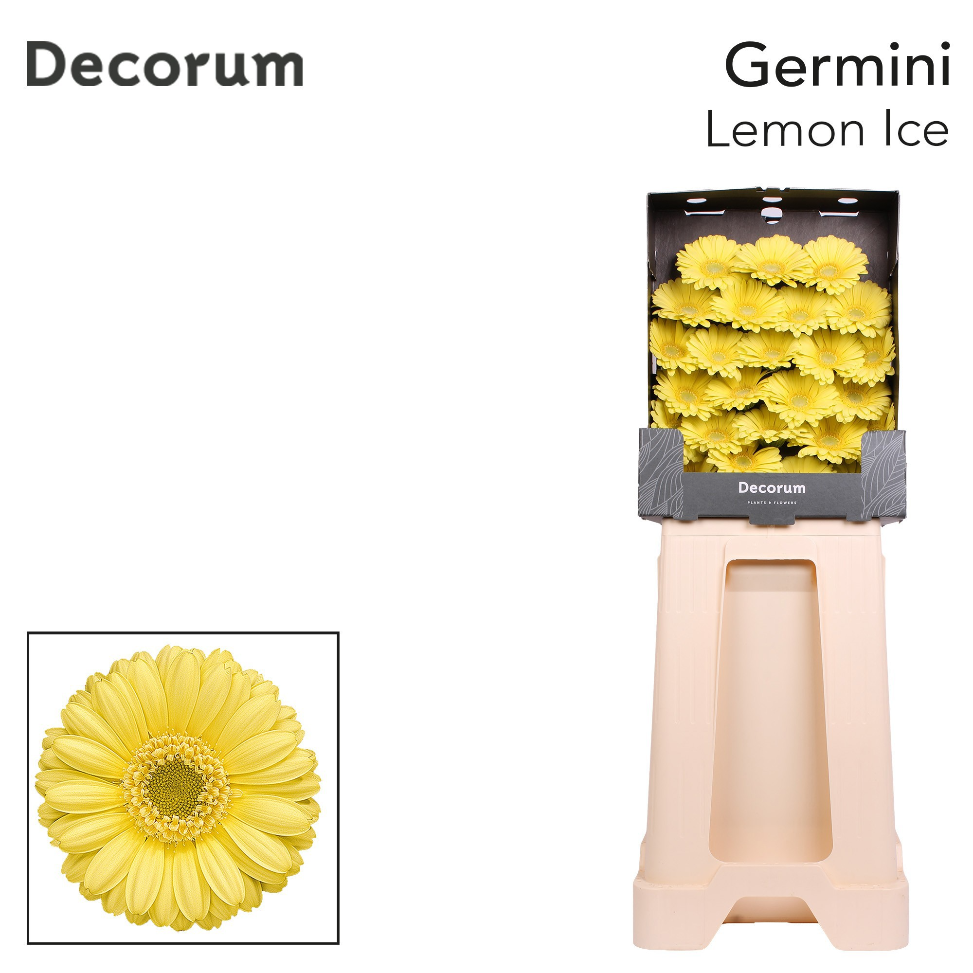 Ge Mi Lemon Ice