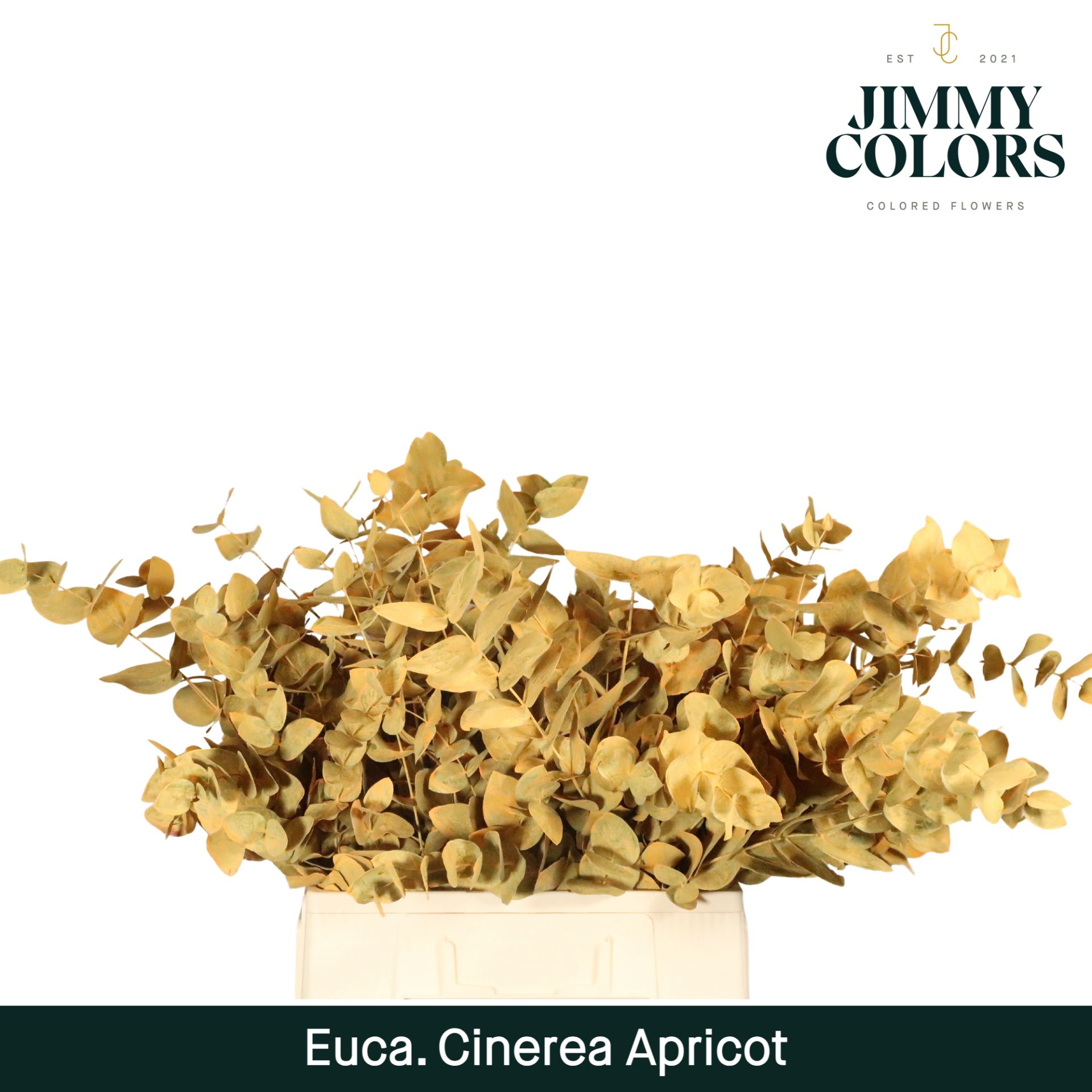 Cinerea Per Bos 200g Apricot