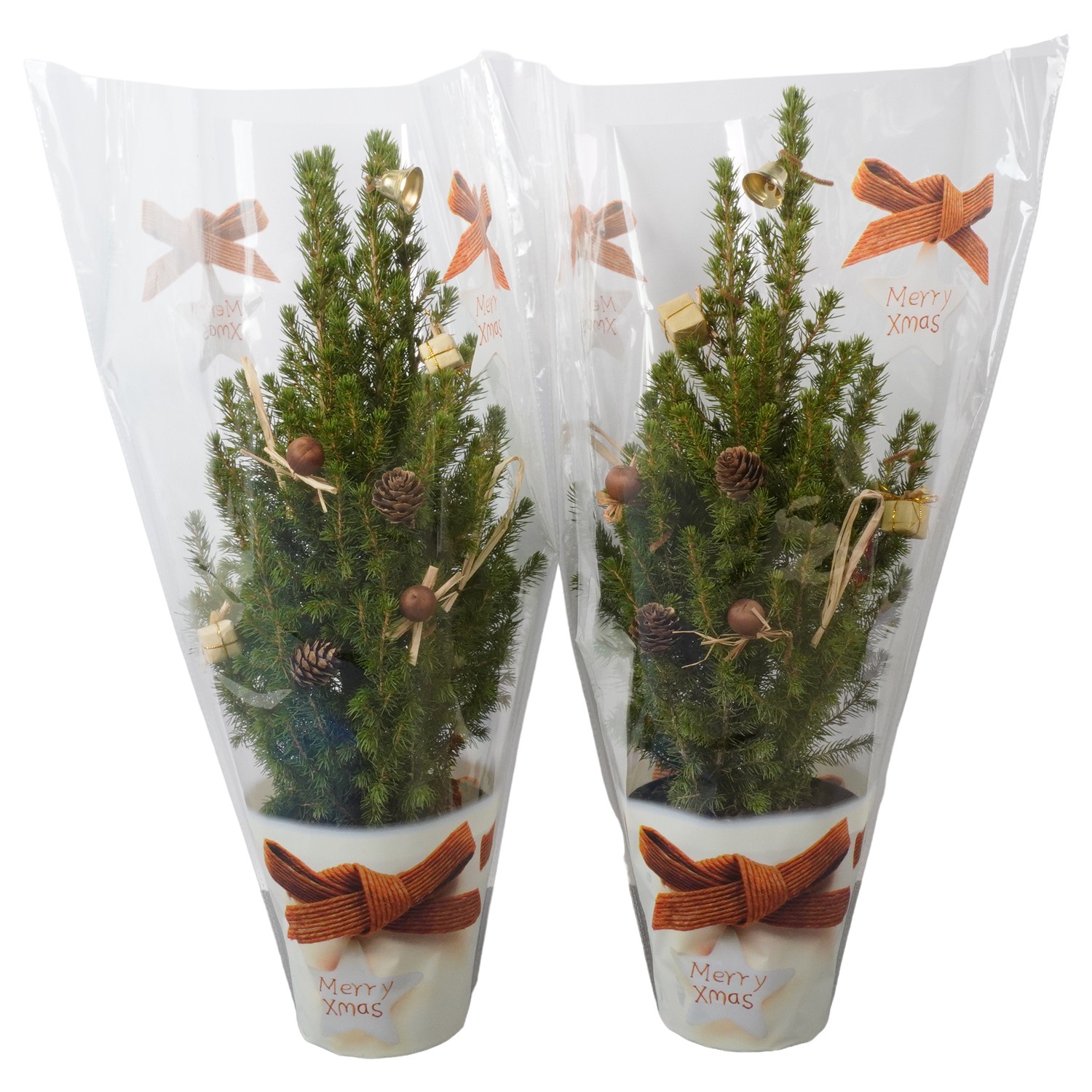 Picture of PTK24505 Picea Conica Perfecta in Xmas sleeve decoration P15 50CM