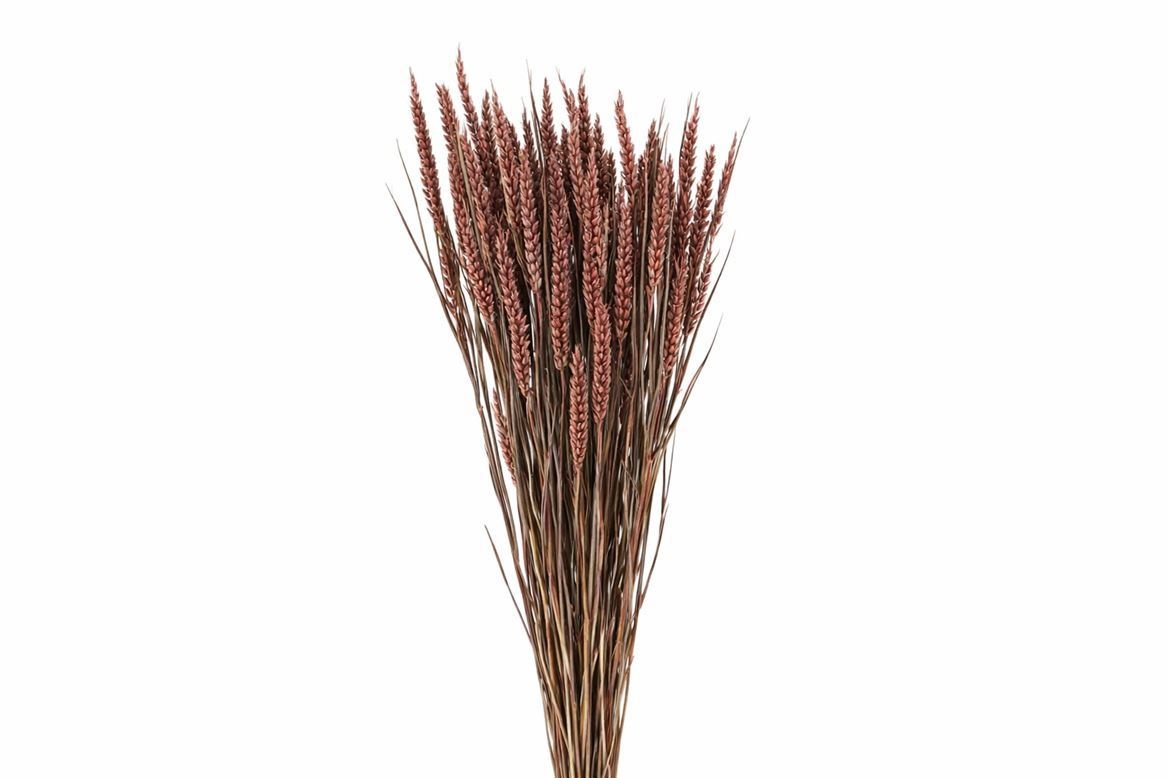 Dried/preserved Flowers Misc 60cm 200gram