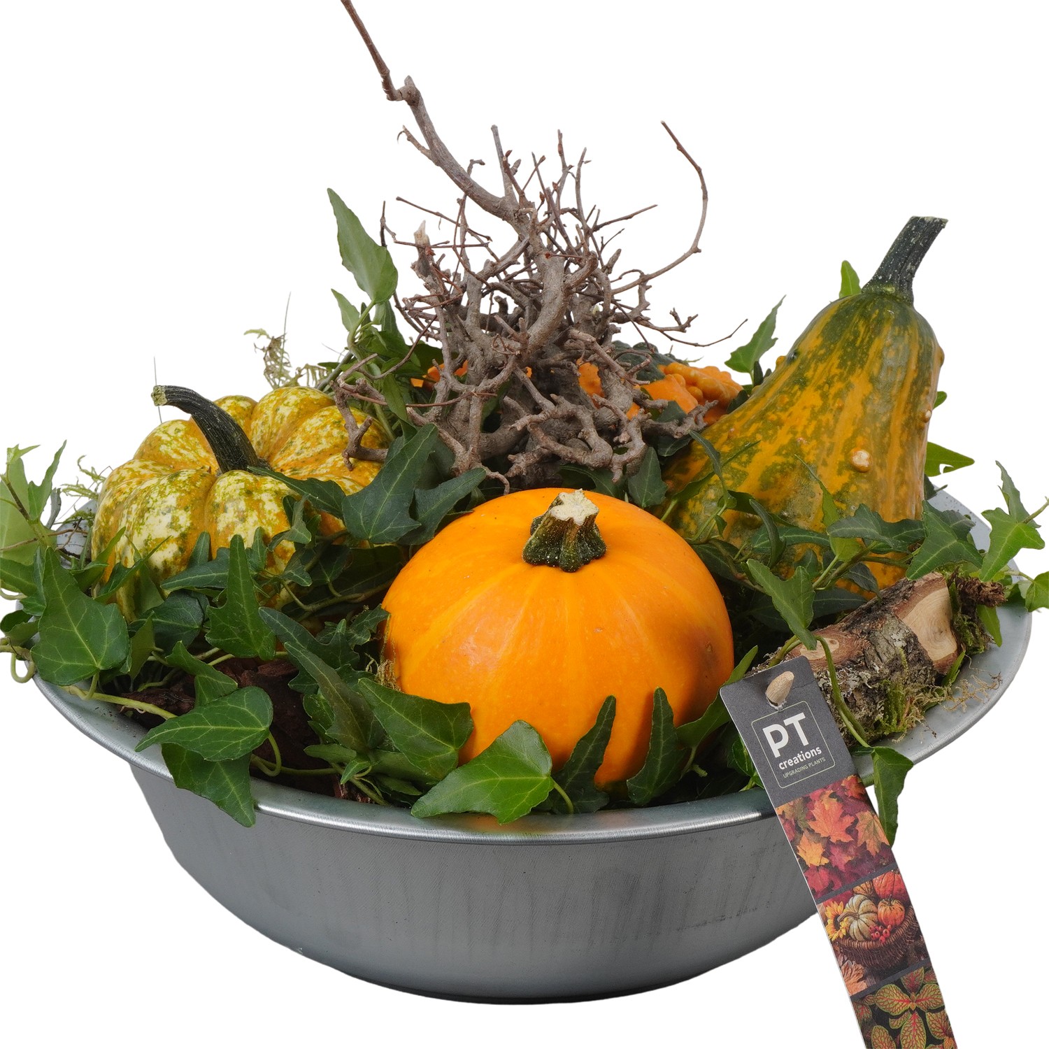 Picture of PTKBH5305 Arrangement Autumn Fruits in metal bowl P29 31CM