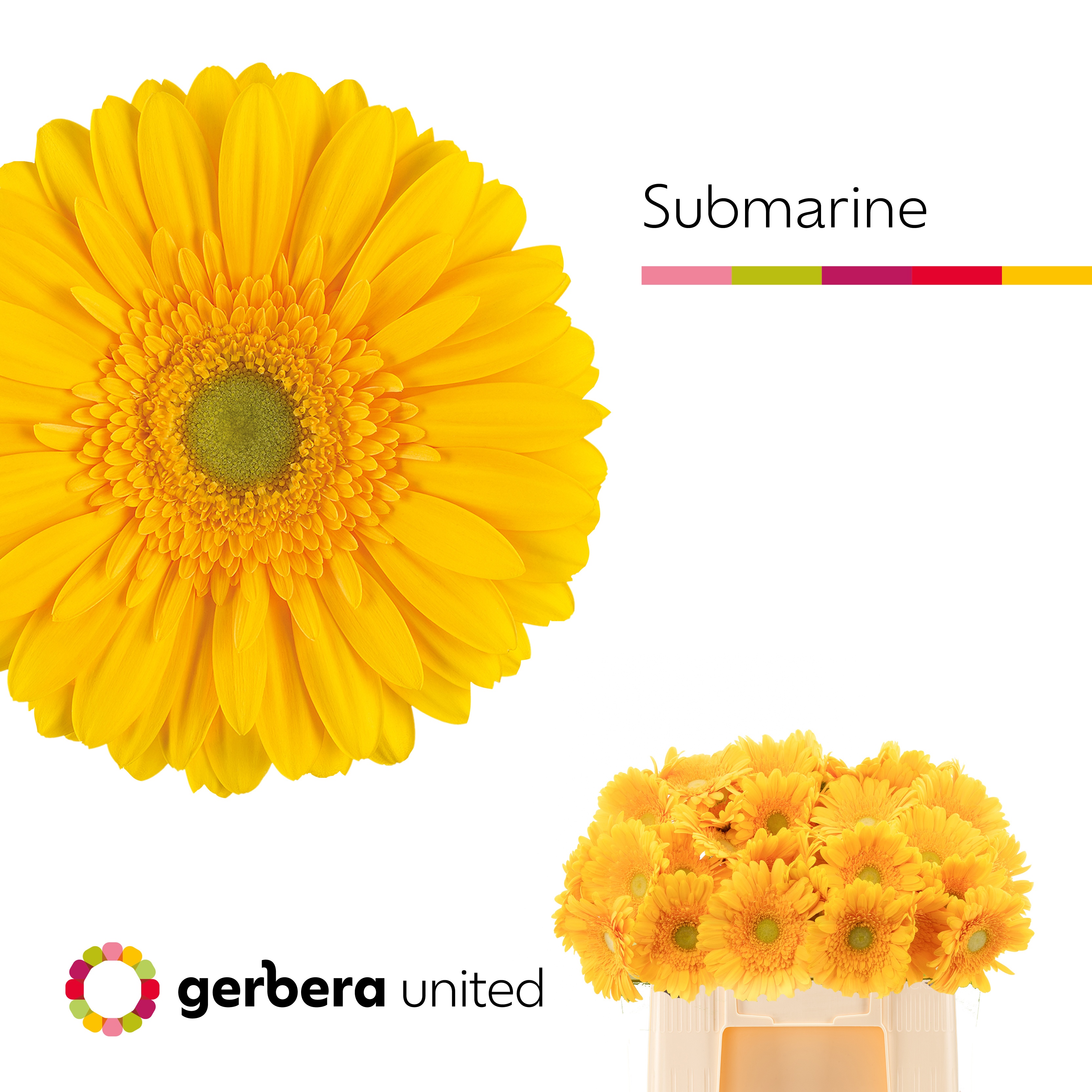 Ge Gr Submarine