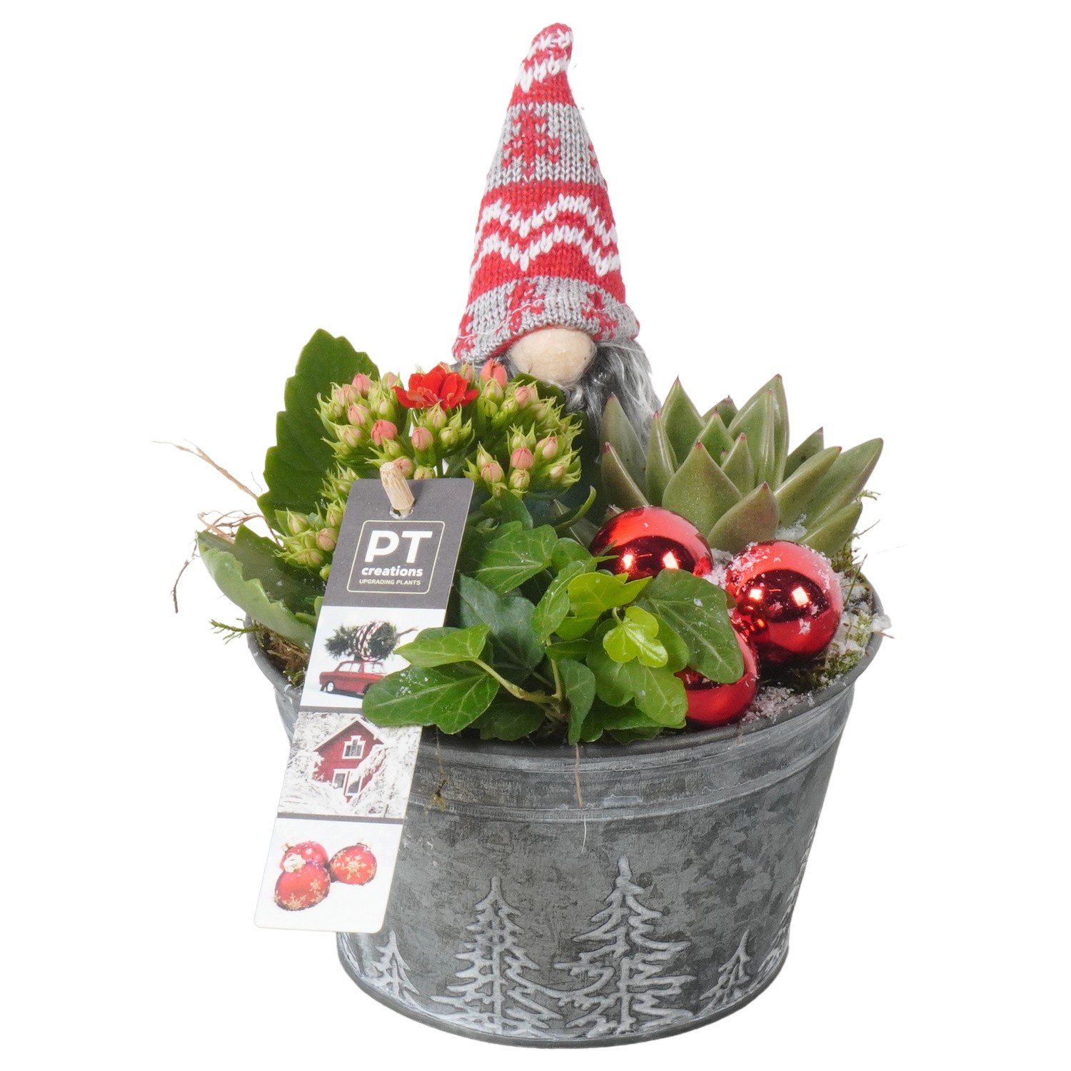 Picture of PTKB9437 Arrangement X-Mas in zink pot P15 19CM