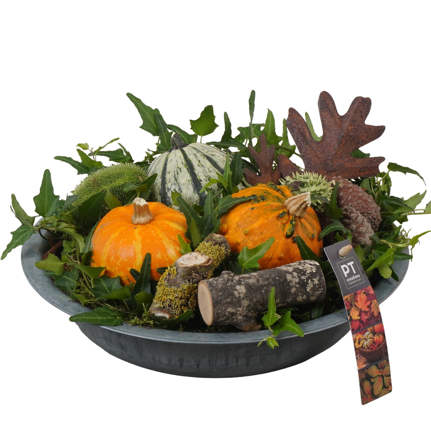 Picture of PTKBH5304 Arrangement Autumn Fruits in metal bowl P28 17cm