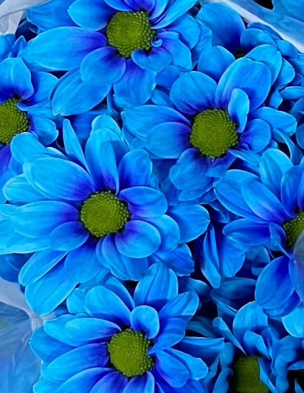 Chr T Kennedy Blue (painted)