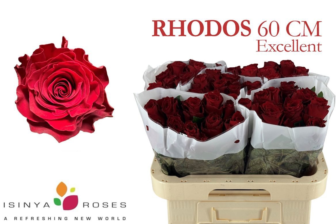 R Gr Rhodos