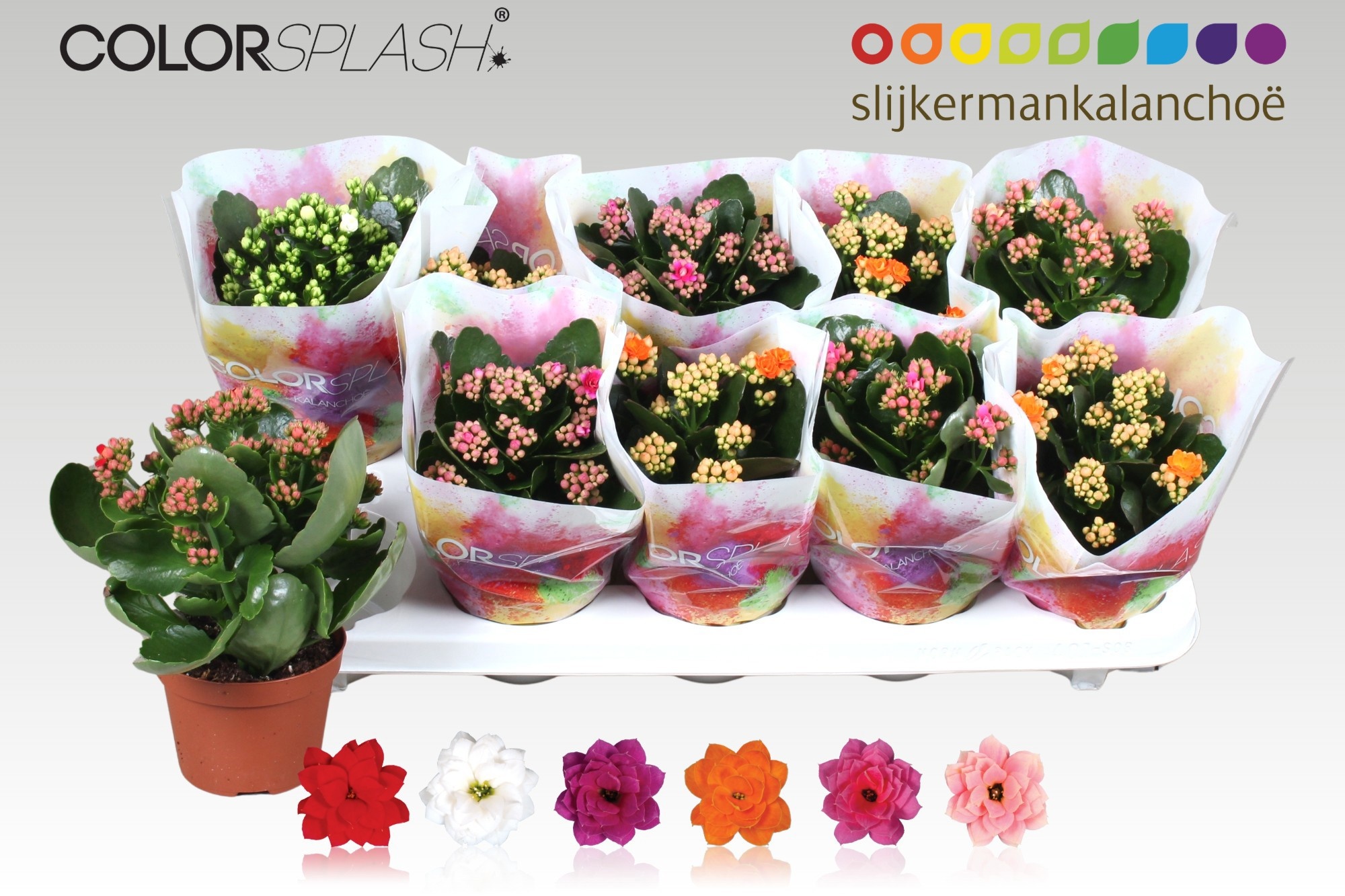 Kalan B Ge Gem 6 Kl 510Ø 20cm