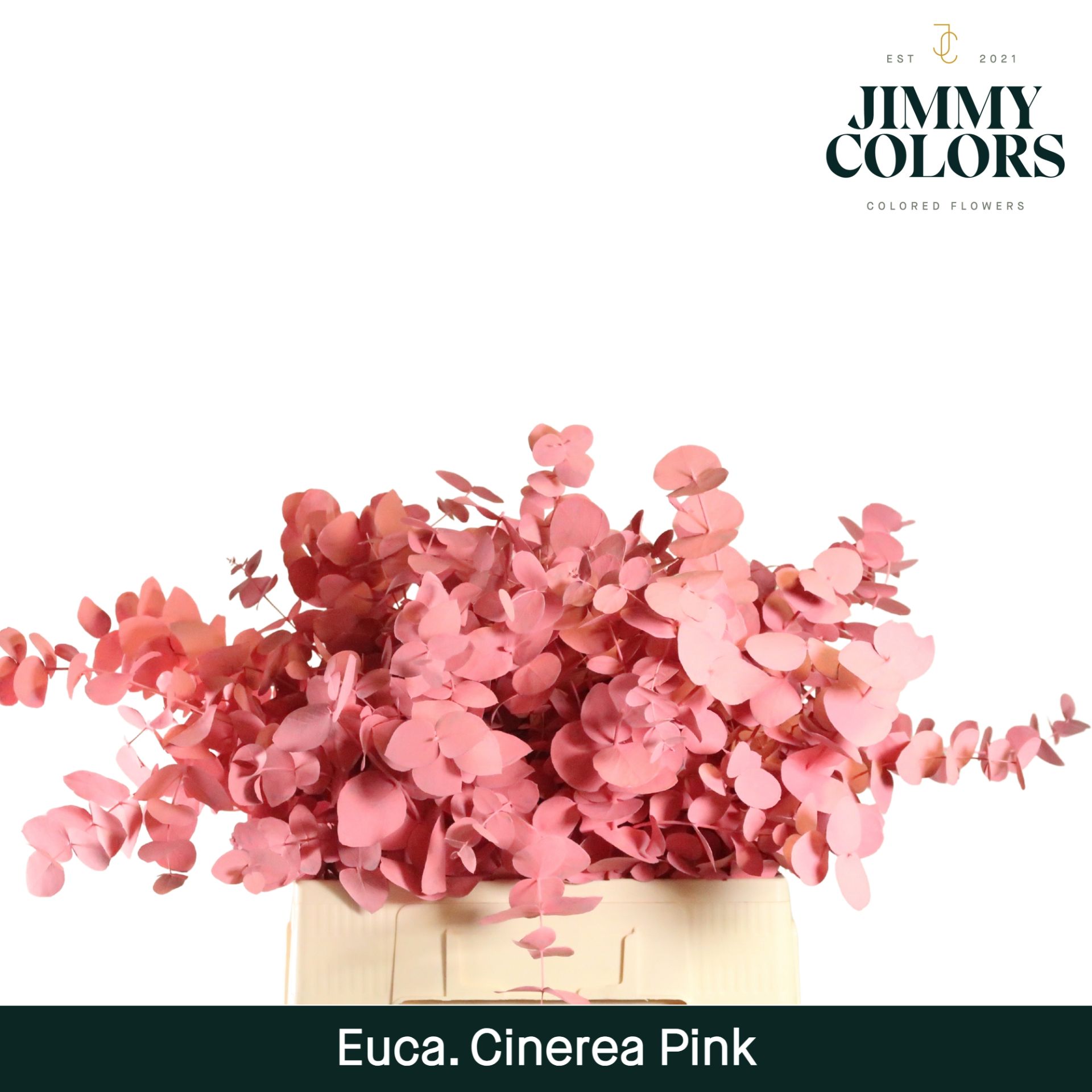 Cinerea Per Bos 200g Pink