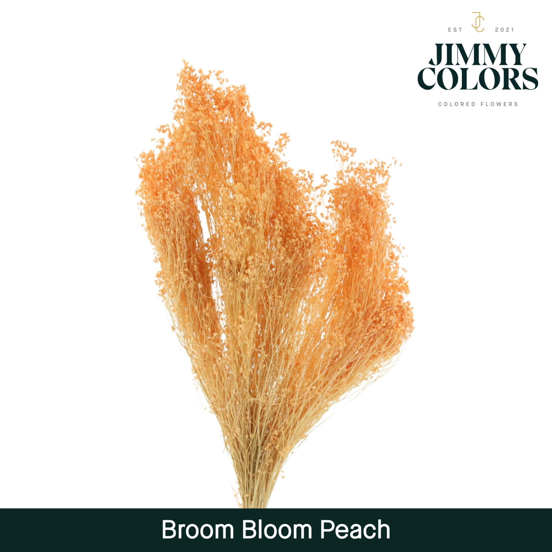 Broom Bloom Peach