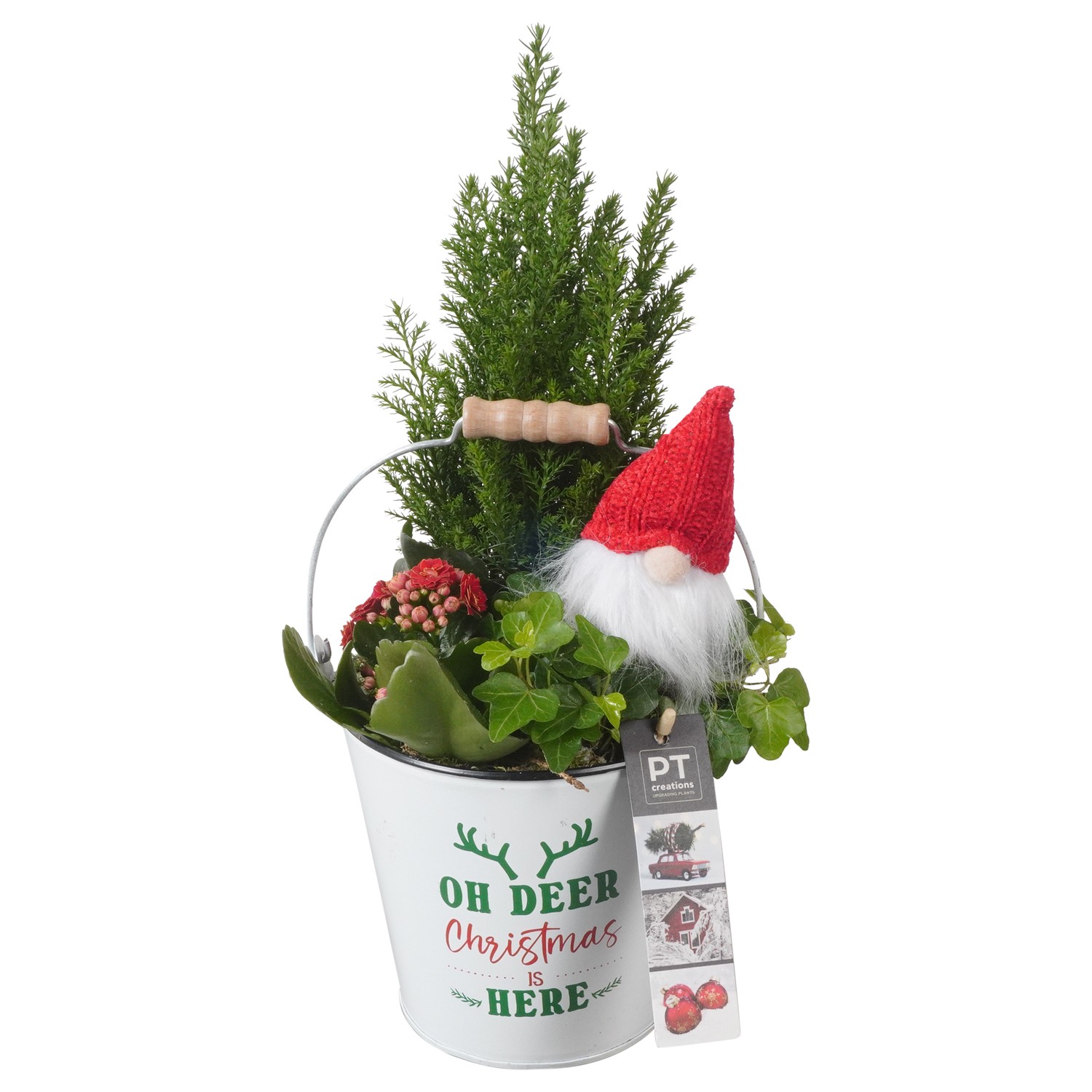 Picture of PTKB9429 Arrangement X-Mas in zinc bucket P14 36CM