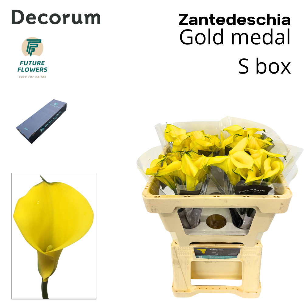Zant Gold Medal