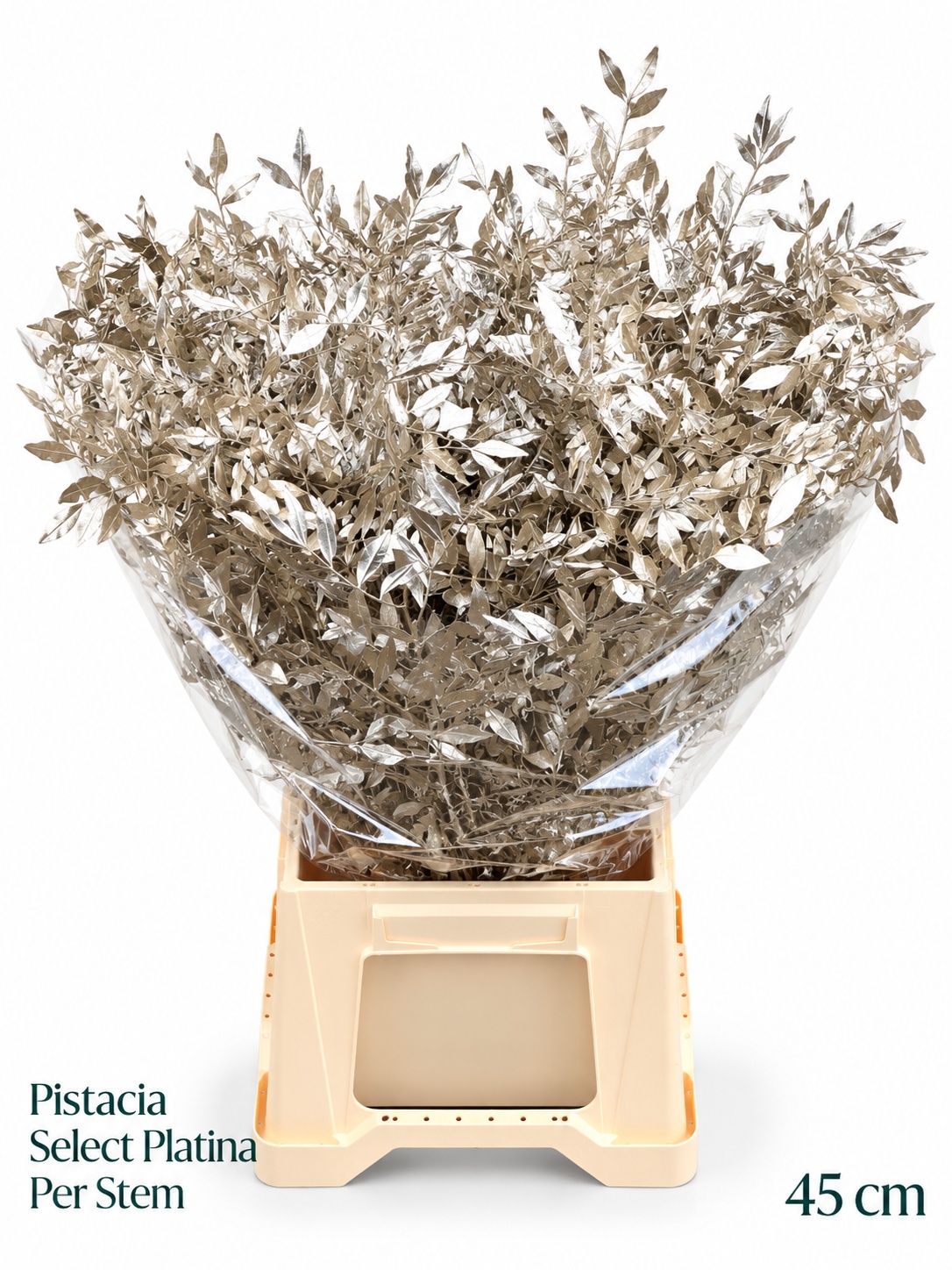 Pista Klb H% 45cm