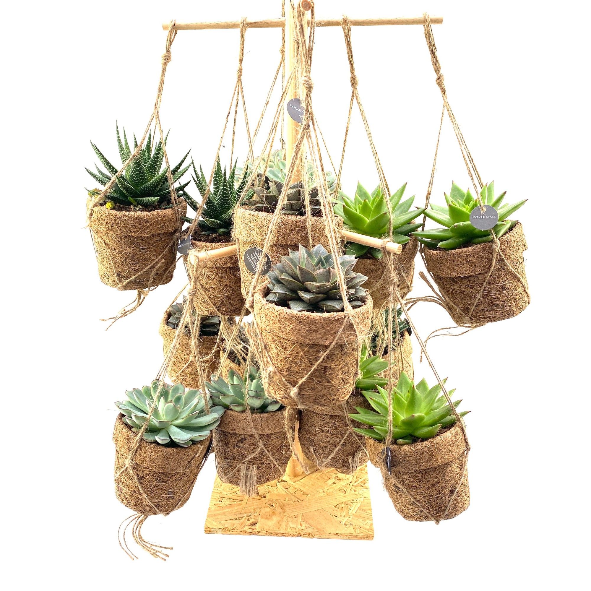 Succ Gem 4 Srt 10Ø 15cm