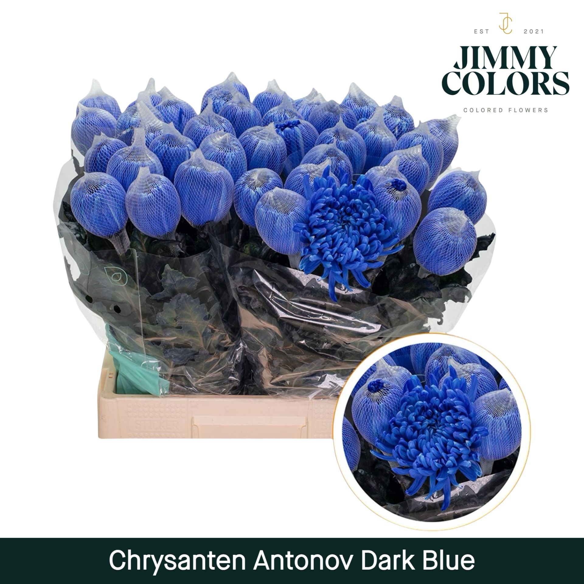 Chr G Antonov Dark Blue